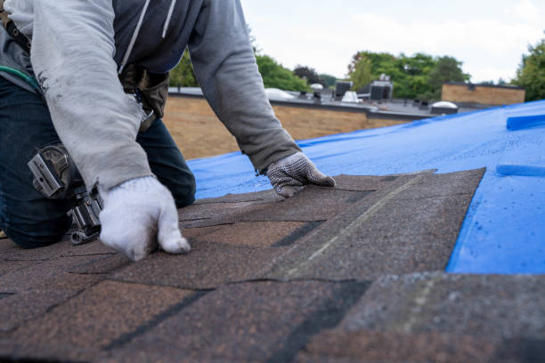 Best Storm Damage Roof Repair  in West Rancho Dominguez, CA